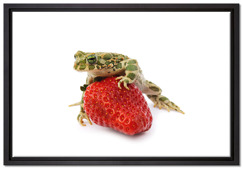 Kleiner Frosch sitzt auf Erdbeere auf Leinwandbild gerahmt Größe 60x40