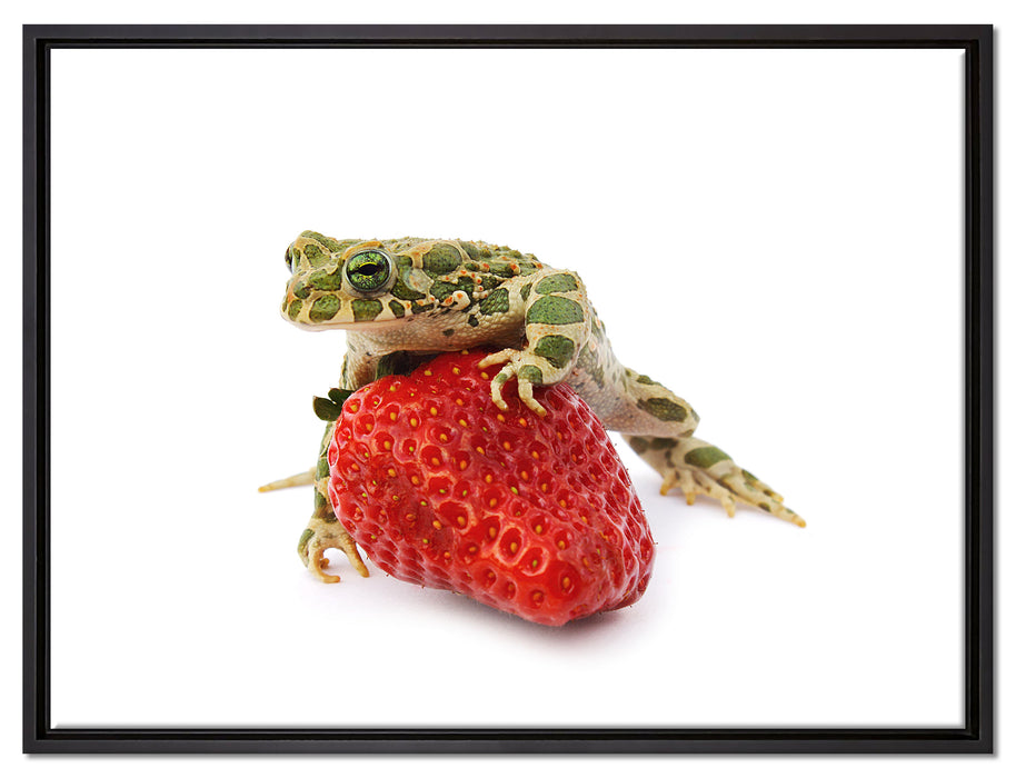 Kleiner Frosch sitzt auf Erdbeere auf Leinwandbild gerahmt Größe 80x60