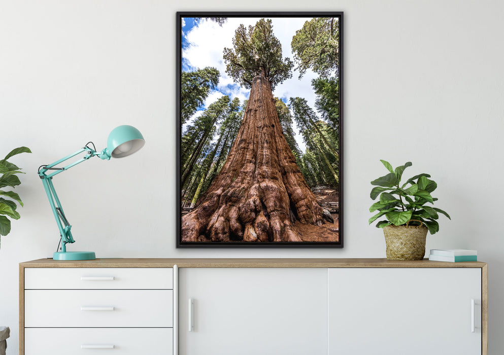 Baum im Regenwald auf Leinwandbild gerahmt verschiedene Größen im Wohnzimmer