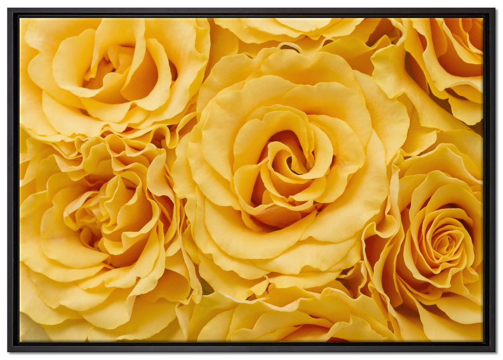 Wunderschöne gelbe Blüten auf Leinwandbild gerahmt Größe 100x70