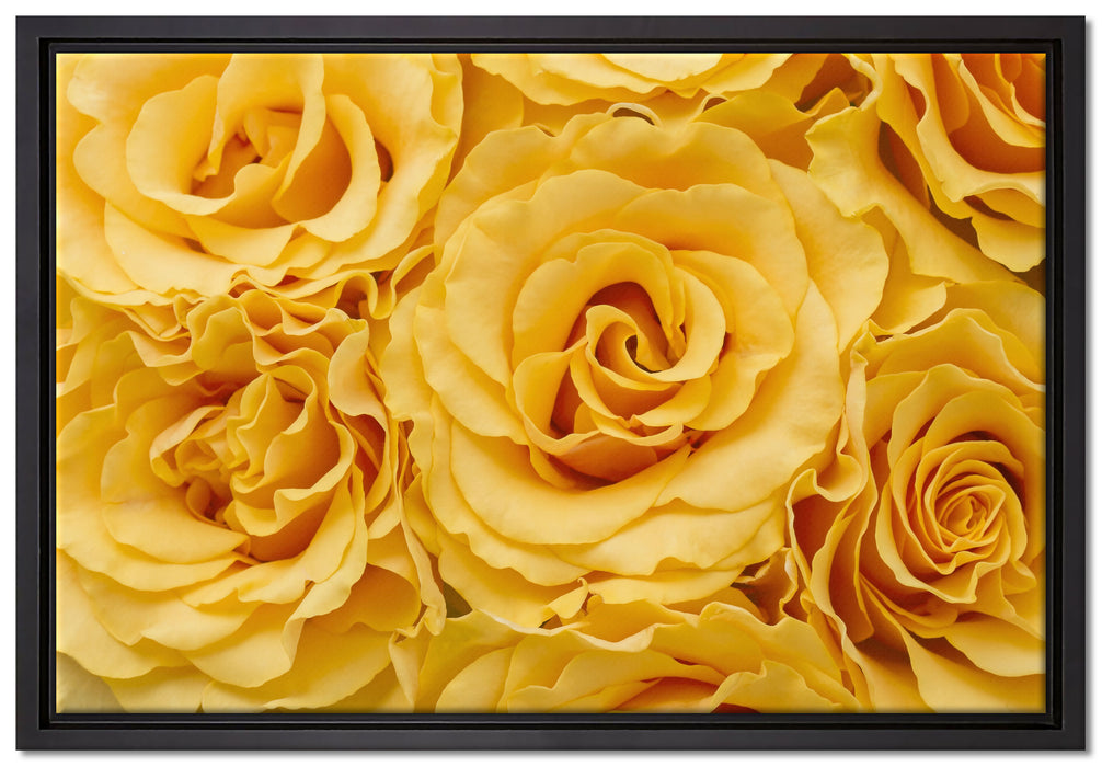 Wunderschöne gelbe Blüten auf Leinwandbild gerahmt Größe 60x40