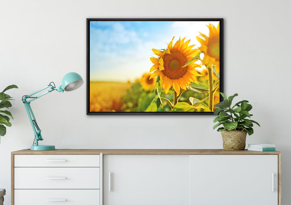 Strahlendes Sonnenblumenfeld auf Leinwandbild gerahmt verschiedene Größen im Wohnzimmer