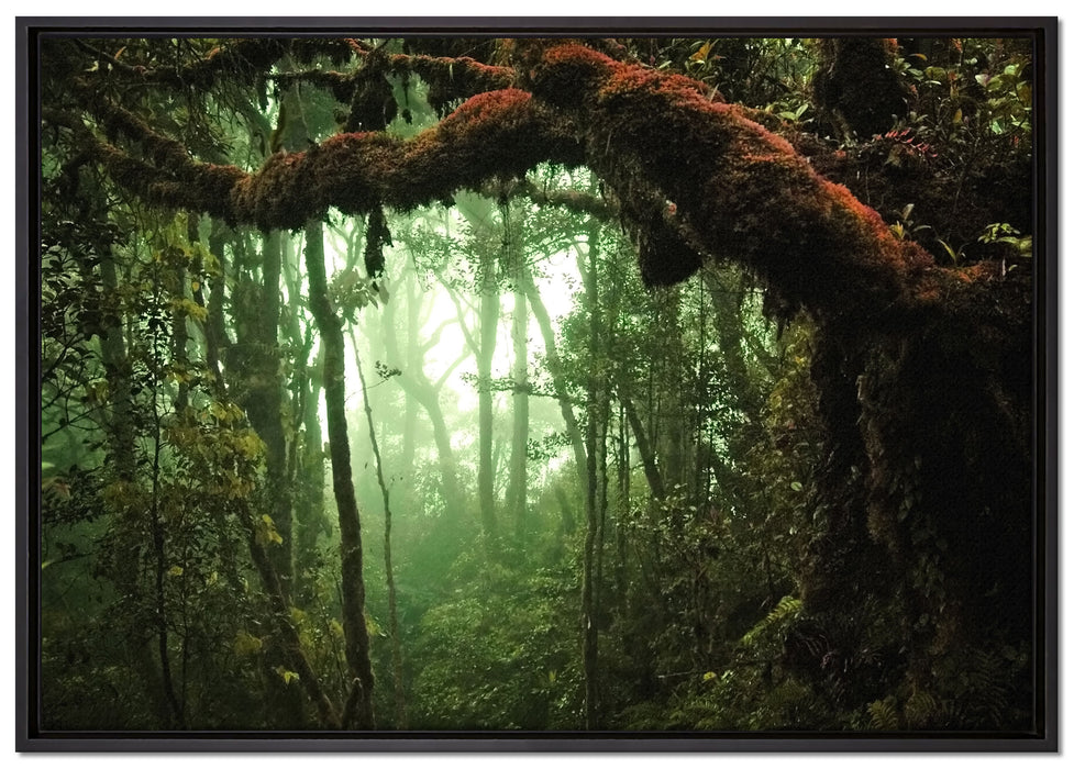 Geheimnisvoller Regenwald auf Leinwandbild gerahmt Größe 100x70