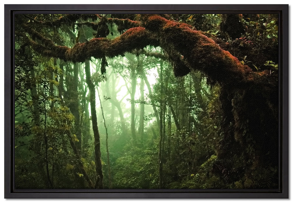 Geheimnisvoller Regenwald auf Leinwandbild gerahmt Größe 60x40