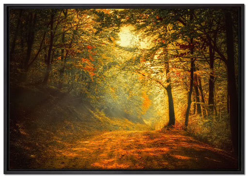 Wald auf Leinwandbild gerahmt Größe 100x70