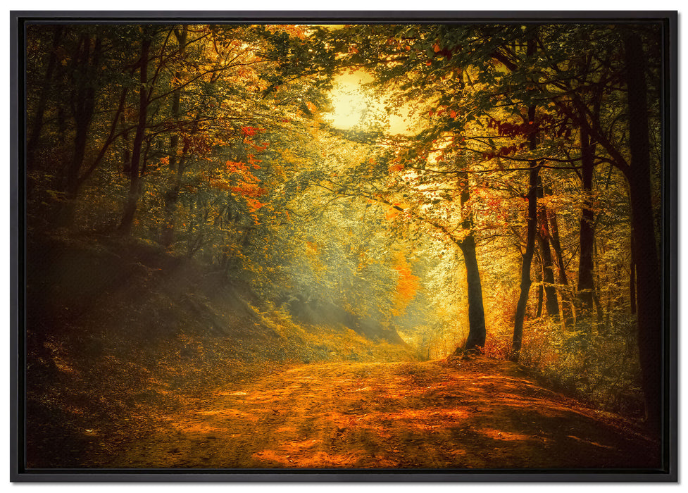 Wald auf Leinwandbild gerahmt Größe 100x70