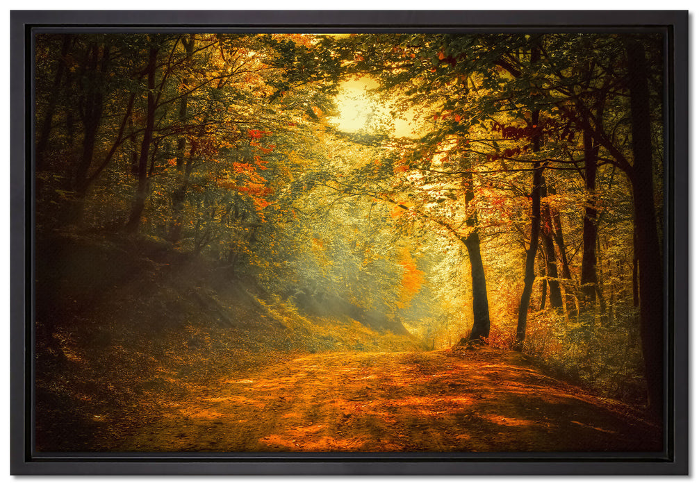 Wald auf Leinwandbild gerahmt Größe 60x40