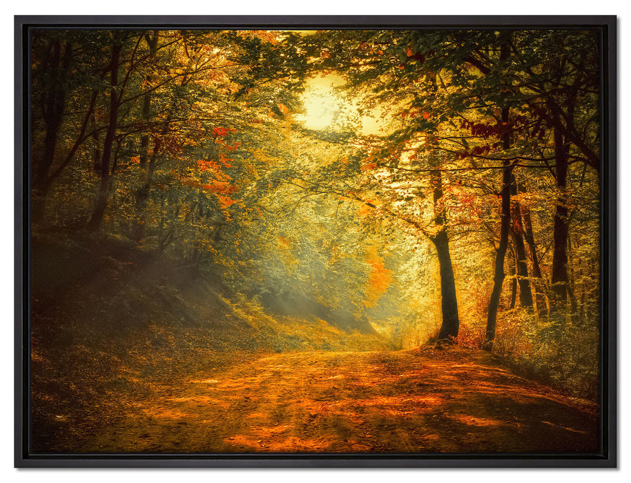 Wald auf Leinwandbild gerahmt Größe 80x60