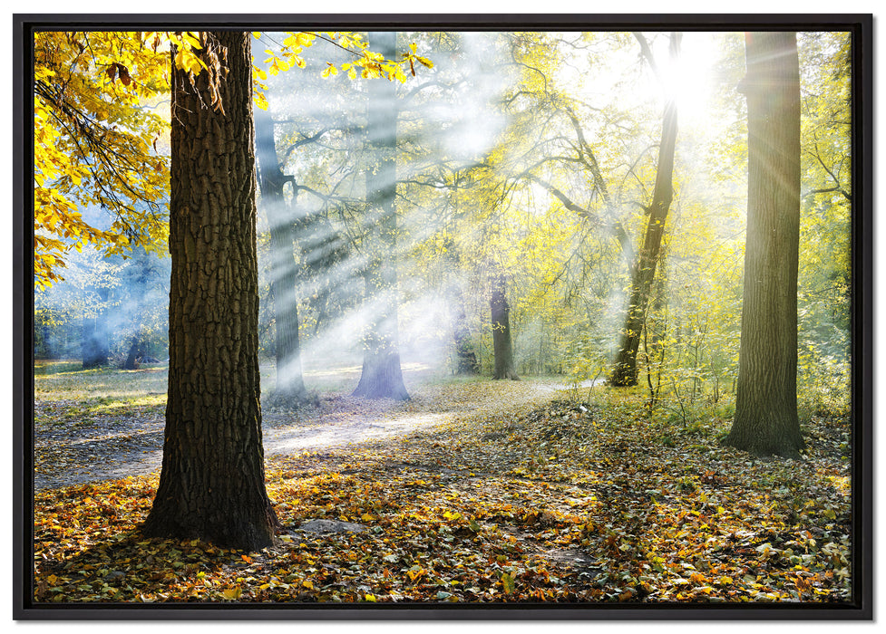 Sonnenstrahlen im Wald auf Leinwandbild gerahmt Größe 100x70