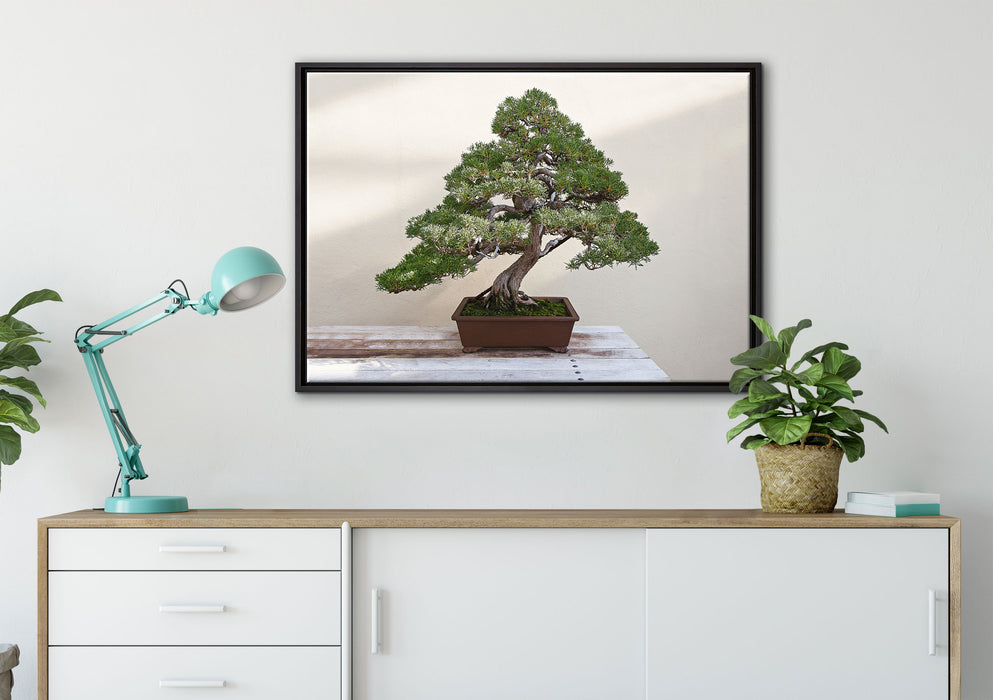 Bonsai Baum auf Leinwandbild gerahmt verschiedene Größen im Wohnzimmer