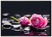 Rosa Rosenblüte Hintergrund auf Leinwandbild gerahmt Größe 100x70