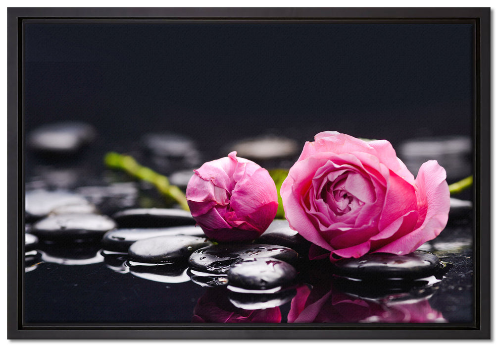 Rosa Rosenblüte Hintergrund auf Leinwandbild gerahmt Größe 60x40