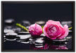 Rosa Rosenblüte Hintergrund auf Leinwandbild gerahmt Größe 60x40