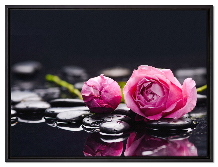 Rosa Rosenblüte Hintergrund auf Leinwandbild gerahmt Größe 80x60