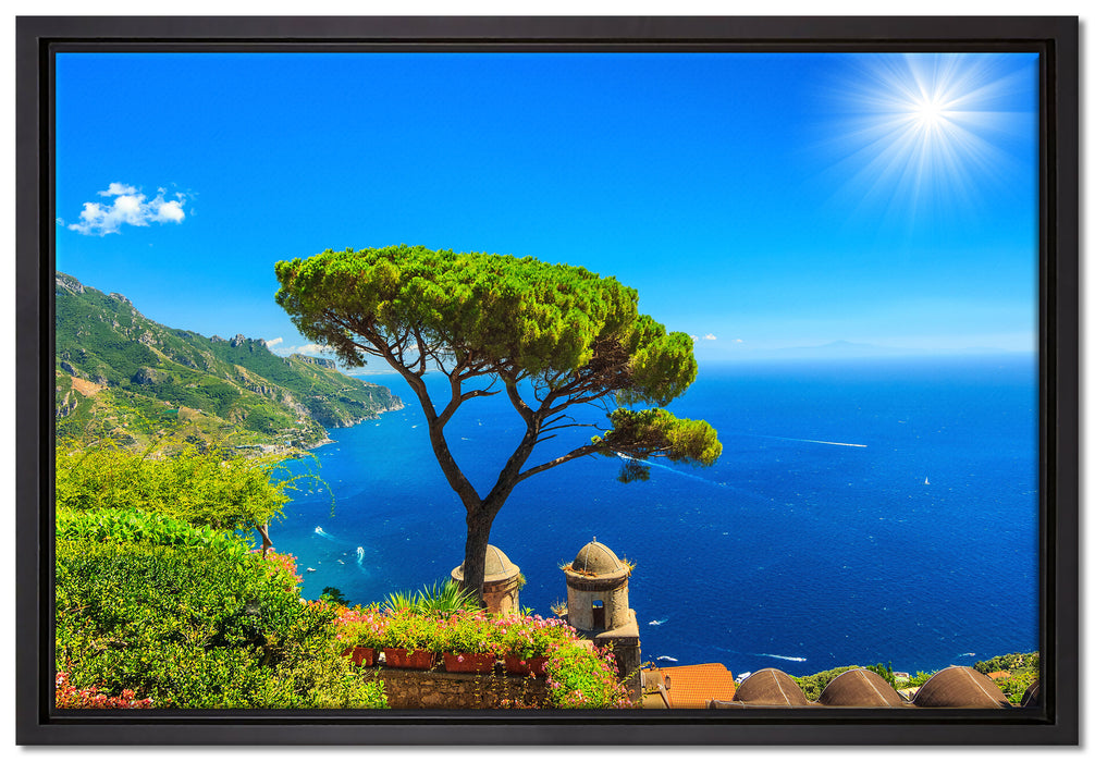 baum am blauen meer auf Leinwandbild gerahmt Größe 60x40