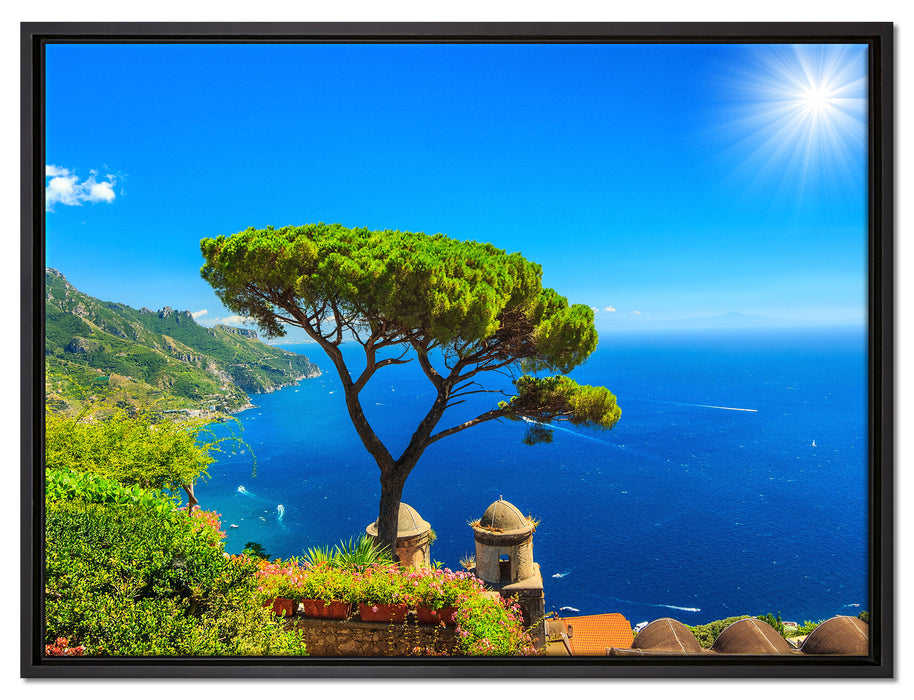 baum am blauen meer auf Leinwandbild gerahmt Größe 80x60