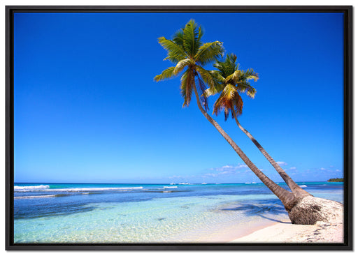 Palmen am Strand auf Leinwandbild gerahmt Größe 100x70