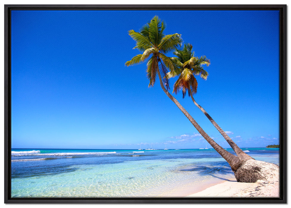 Palmen am Strand auf Leinwandbild gerahmt Größe 100x70