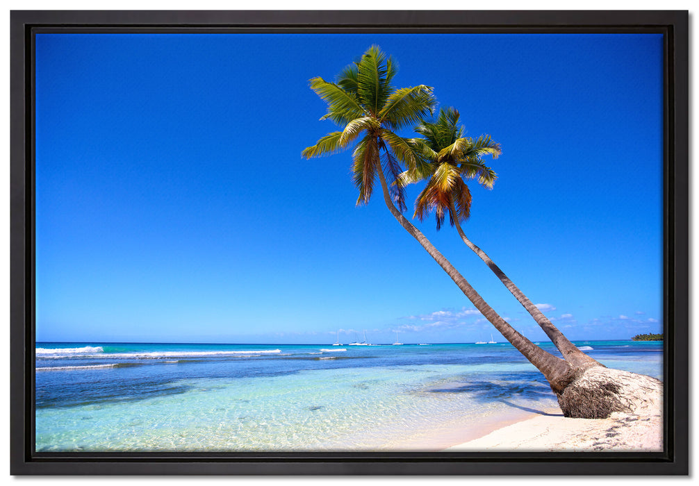 Palmen am Strand auf Leinwandbild gerahmt Größe 60x40