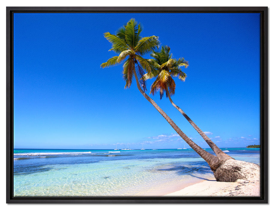 Palmen am Strand auf Leinwandbild gerahmt Größe 80x60