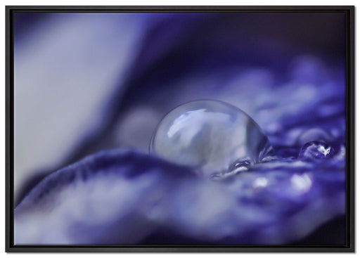 Nahaufnahme lila Wassertropfen auf Leinwandbild gerahmt Größe 100x70