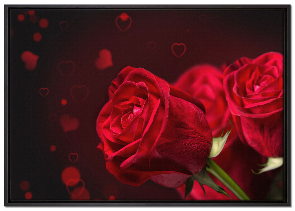 Rosen auf Leinwandbild gerahmt Größe 100x70