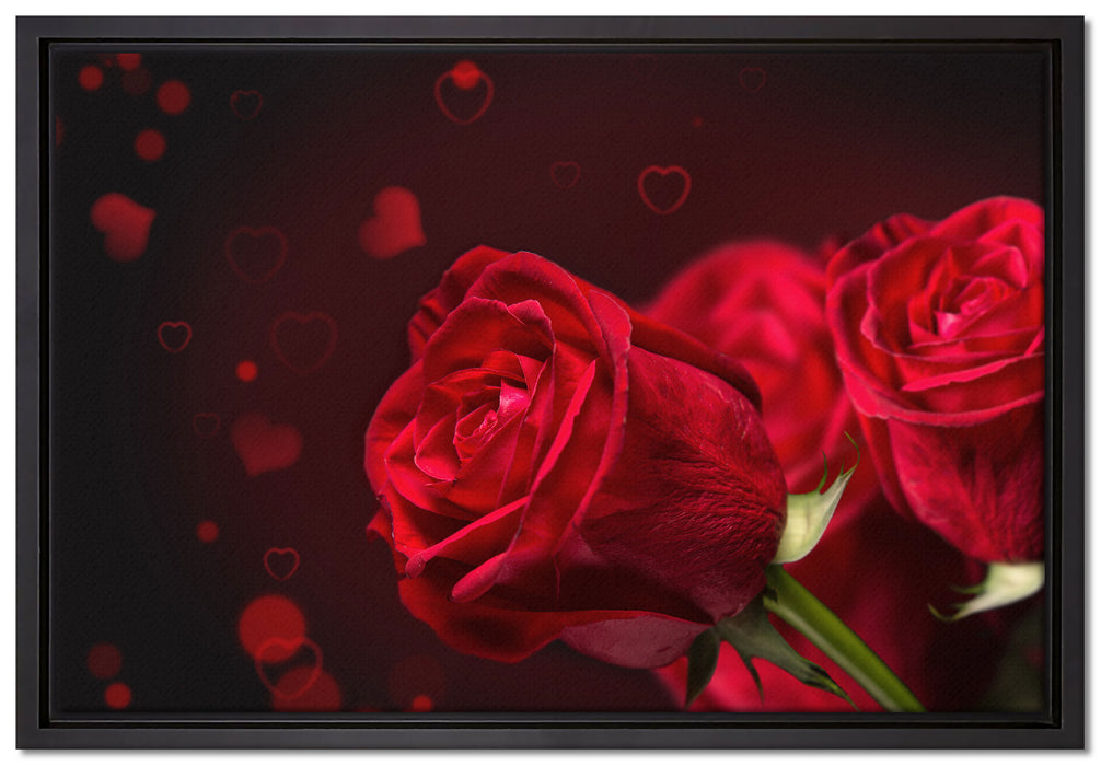 Rosen auf Leinwandbild gerahmt Größe 60x40