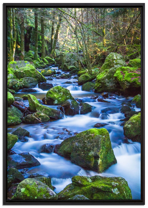 Wilder Bach auf Leinwandbild gerahmt Größe 100x70