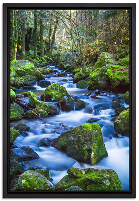 Wilder Bach auf Leinwandbild gerahmt Größe 60x40