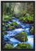 Wilder Bach auf Leinwandbild gerahmt Größe 60x40