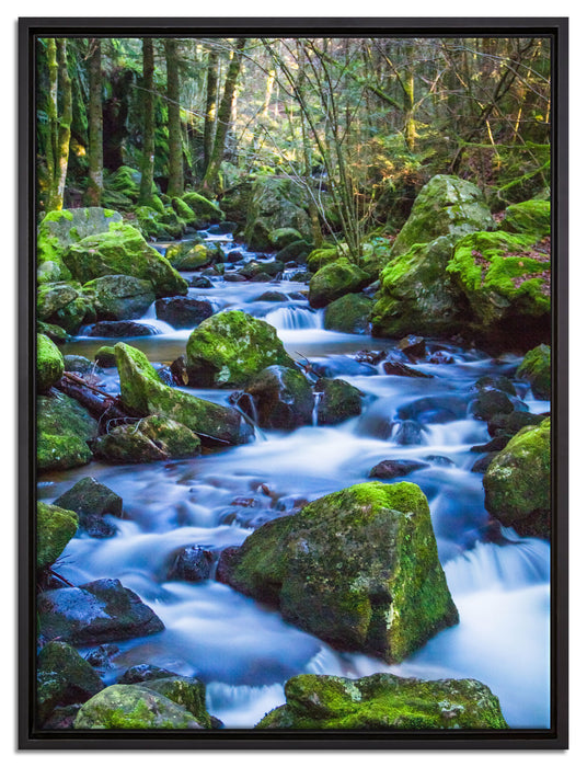 Wilder Bach auf Leinwandbild gerahmt Größe 80x60