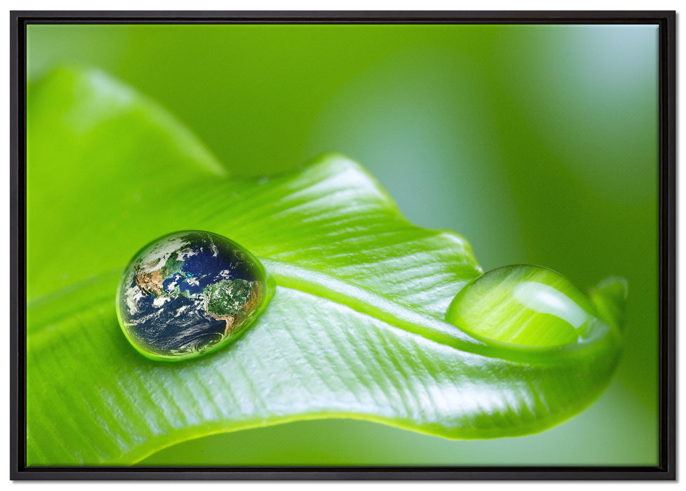Tautropfen Planet Erde auf Leinwandbild gerahmt Größe 100x70