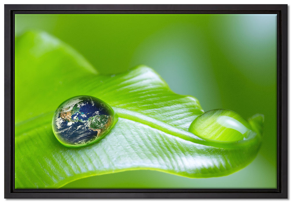 Tautropfen Planet Erde auf Leinwandbild gerahmt Größe 60x40