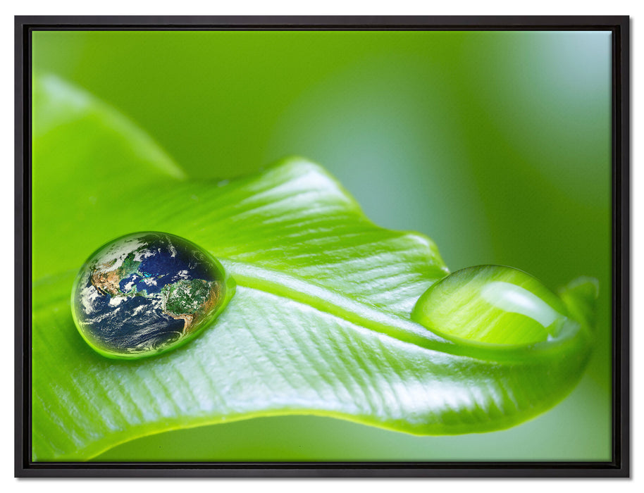 Tautropfen Planet Erde auf Leinwandbild gerahmt Größe 80x60