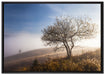 Baum im hohen Gras auf Leinwandbild gerahmt Größe 100x70