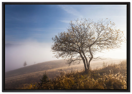 Baum im hohen Gras auf Leinwandbild gerahmt Größe 100x70