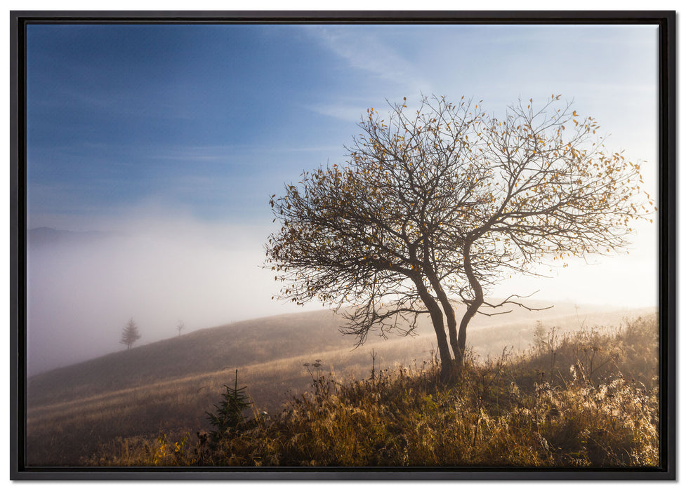 Baum im hohen Gras auf Leinwandbild gerahmt Größe 100x70