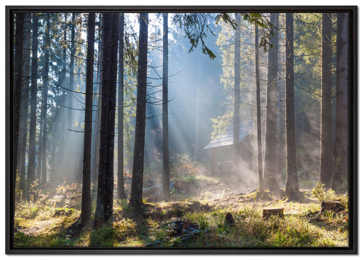 Sonnenstrahlen im Wald auf Leinwandbild gerahmt Größe 100x70