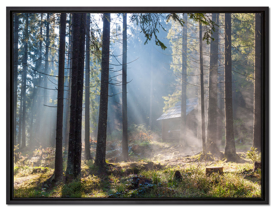 Sonnenstrahlen im Wald auf Leinwandbild gerahmt Größe 80x60