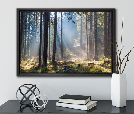 Sonnenstrahlen im Wald auf Leinwandbild gerahmt mit Kirschblüten