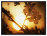 Blüten am Baum auf Leinwandbild gerahmt Größe 80x60