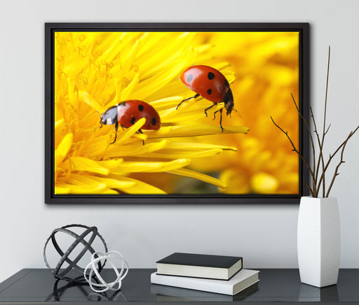 Marienkäfer Nahaufnahme auf Leinwandbild gerahmt mit Kirschblüten