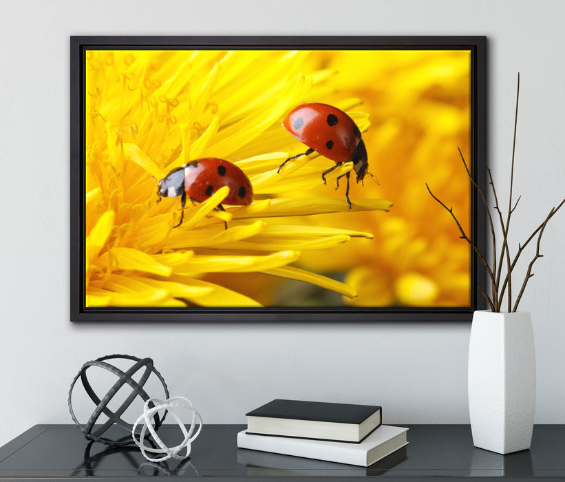 Marienkäfer Nahaufnahme auf Leinwandbild gerahmt mit Kirschblüten