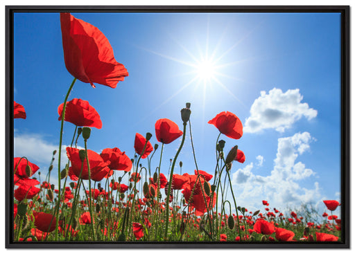 Mohnblumen auf Leinwandbild gerahmt Größe 100x70