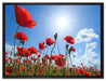 Mohnblumen auf Leinwandbild gerahmt Größe 80x60