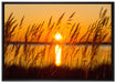 Sonne zwischen Gräsern auf Leinwandbild gerahmt Größe 100x70