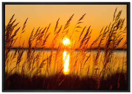 Sonne zwischen Gräsern auf Leinwandbild gerahmt Größe 100x70