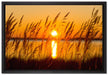 Sonne zwischen Gräsern auf Leinwandbild gerahmt Größe 60x40