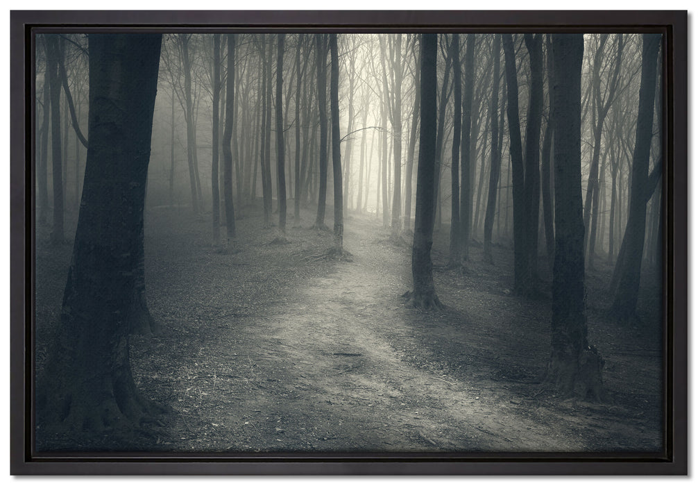 Düstere Landschaft schwarz weiß auf Leinwandbild gerahmt Größe 60x40