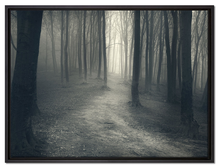 Düstere Landschaft schwarz weiß auf Leinwandbild gerahmt Größe 80x60